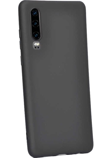 Huawei P30 Kılıf Premier Silikon Esnek Koruma+Nano Glass Siyah