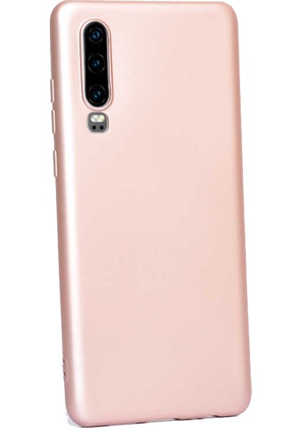 Huawei P30 Kılıf Premier Silikon Esnek Koruma+Nano Glass Bronz