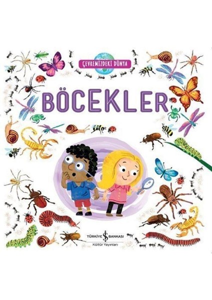 Çevremizdeki Dünya Böcekler