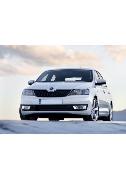 Skoda Rapid 2012-2021 Kol Dayama Kolçak Kapağı Açma Mandalı Düğmesi Tuşu Siyah 3B0868445