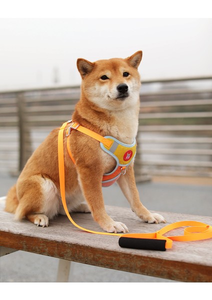 Pet Yansıtıcı Göğüs ve Sırt Ayarlanabilir Tasma (Yurt Dışından) fiyatları