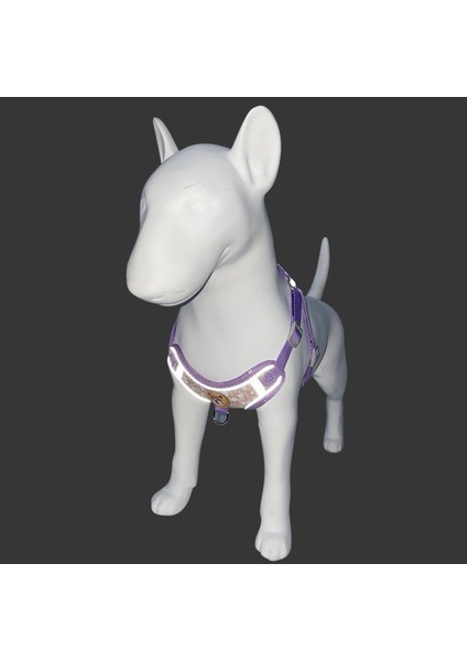 Pet Yansıtıcı Taşıyıcı Yaka (Yurt Dışından) fiyatları