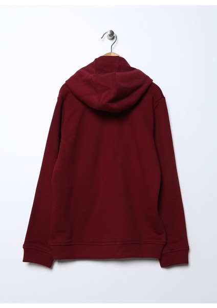 Düz Erkek Çocuk Kırmızı Sweatshirt JAXSK022 fiyatları
