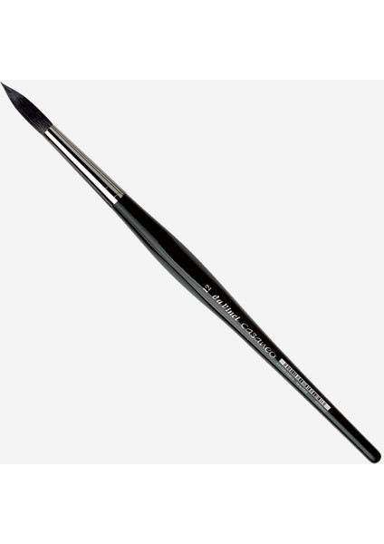 Casaneo Yuvarlak Uç Sulu Boya Fırçası 5598 Seri NO12