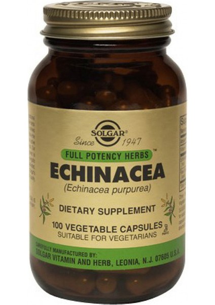 Echinacea 520 Mg 100 Kapsül