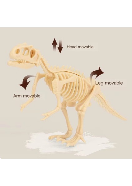 Timsah Dinozor Fosili Arkeolojik Kazı Oyuncak - Beyaz (Yurt Dışından)