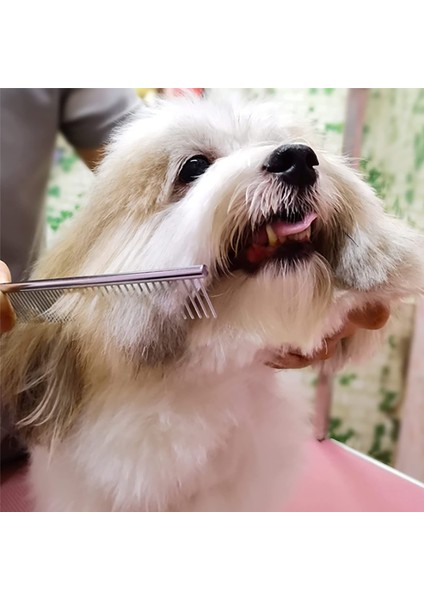 Senlinli 6 Inç Pet Bakım Köpek Saç Makas Seti (Yurt Dışından)