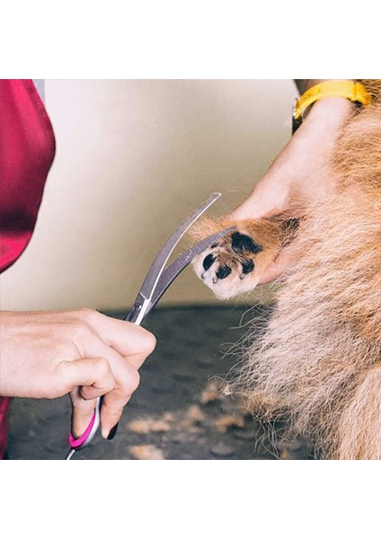 Senlinli 6 Inç Pet Bakım Köpek Saç Makas Seti (Yurt Dışından)