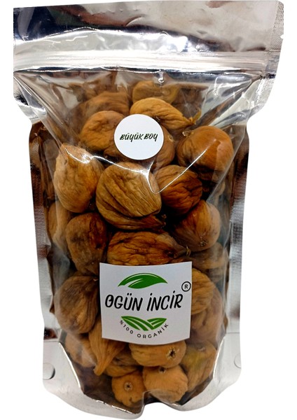 Kuru İncir Büyük Boy 1 kg fiyatları