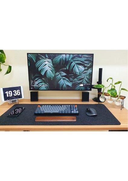 Nb North Bayou H100 Tek Kol Amortisörlü Profosyonel Monitör Standı