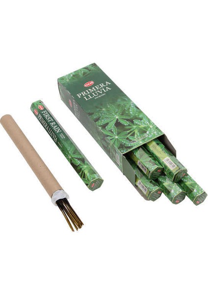 First Rain Hexa Hem Tütsü