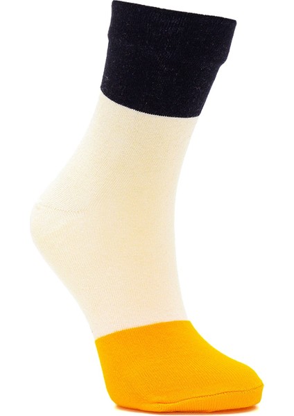 Sushi Nigiri Somon, Karides - Maki Oshinko, Salatalık Desenli Renkli Çorap 4 Çift fırsatları