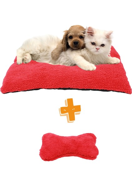 Kedi Yatağı Evcil Hayvan Kedi Minderi 50X35 cm Evcil Hayvan Minder