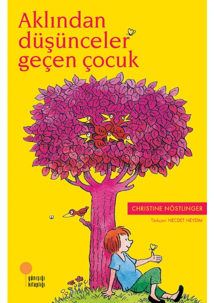 Aklından Düşünceler Geçen Çocuk - Christine Nöstlinger