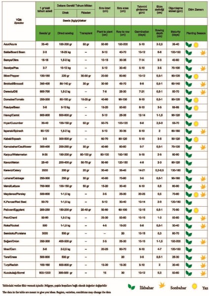 Yerli Ata Tohumu Geniş Yaprak Ispanak 100 Adet