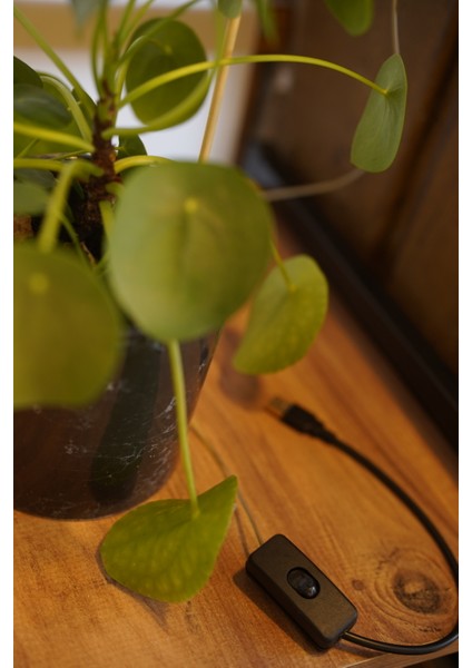 Bitki Geliştirme LED Lamba 5V USB Tam Spektrumlu Bitki Yetiştirme LED Lamba Kare Günışığı -Bitki Işık 8W indirimleri