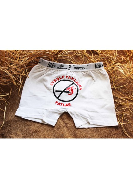 Ateşle Yaklaşma Komik Boxer