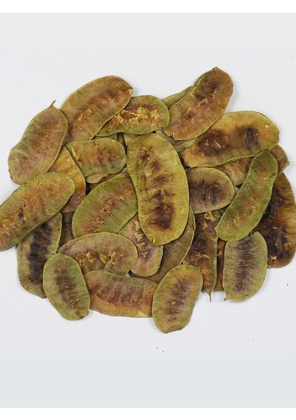 Açlık Otu 100g