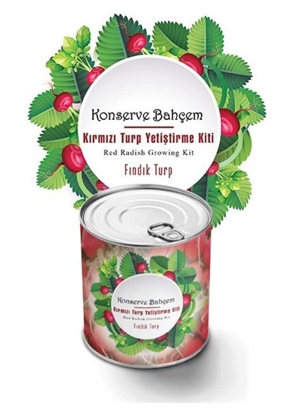 Konserve Bahçem Evde Konservede Fındık Turp Yetiştirme Kiti
