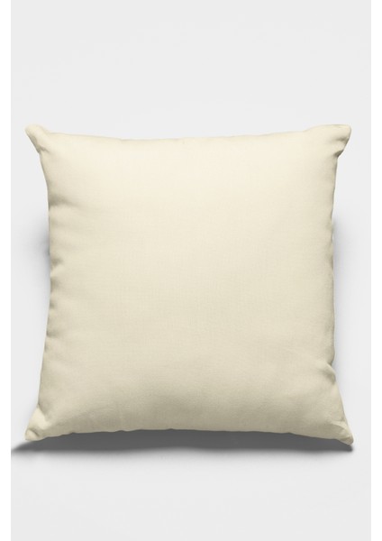 2'li 43 x 43 cm Krem Premium Kumaş Tay Tüyü Döşemelik Dekoratif Çift Taraflı Kırlent Kılıfı KRL002 fiyatları