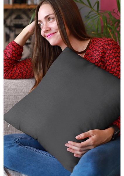 4'lü 43 x 43 cm Füme Tay Tüyü Döşemelik Premium Kumaş Dekoratif Çift Taraflı Kırlent Kılıfı KRL001 indirimleri