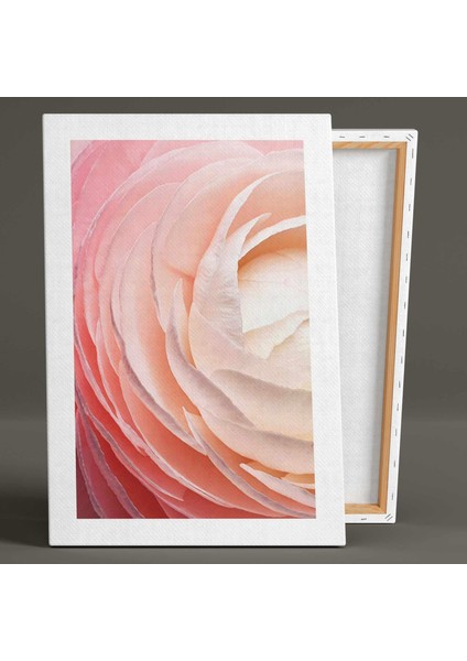 Pembe Gül Yaprakları Yakın Çekim Degrade Doğa Kanvas Tablo fiyatları