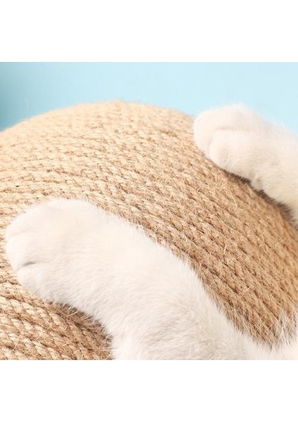 Aşınmaya Dayanıklı Kedi Tırmalama Tahtası (Yurt Dışından) fiyatları