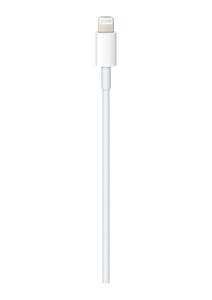 Apple Type-C 1m Şarj Kablosu