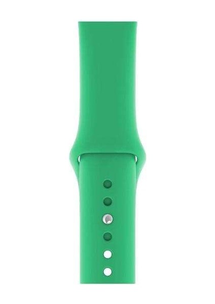 Apple Watch 3 38MM Uyumlu Kordon Mat Jel Silikon Saat Kordonu 38/bb--Spearmint