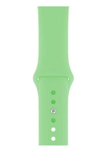 Apple Watch Edition 3 38MM Uyumlu Kordon Mat Jel Silikon Saat Kordonu 38/bb--Mint