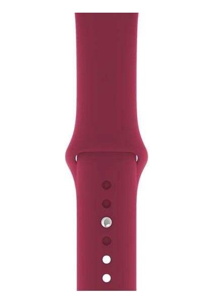 Apsuwa Apple Watch Edition 3 38MM Uyumlu Kordon Mat Jel Silikon Saat Kordonu 38/bb--Bordo