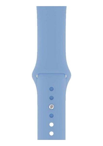 Apple Watch Nike 3 38MM Uyumlu Kordon Mat Jel Silikon Saat Kordonu 38/bb--Açık Mavi