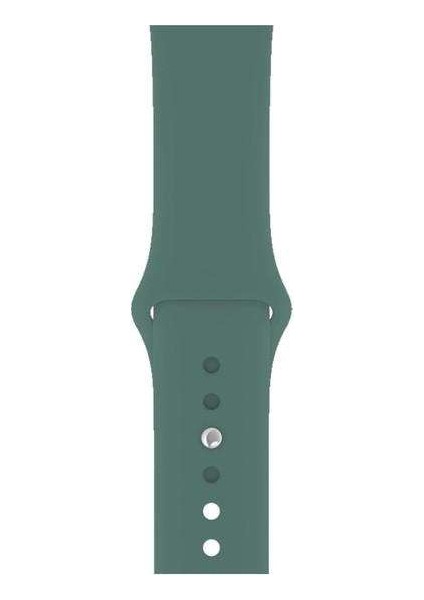 Apple Watch Nike 3 38MM Uyumlu Kordon Mat Jel Silikon Saat Kordonu 38/bb--Çam Yeşili