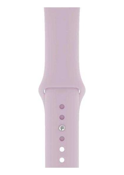 Apple Watch Nike 3 38MM Uyumlu Kordon Mat Jel Silikon Saat Kordonu 38/bb--Lila