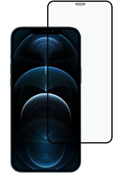 Apple iPhone 13 Pro 6d Ekran Koruyucu Kırılmaz Cam