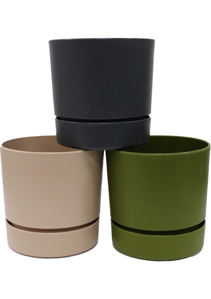 Saksı Begonya 9 0.5 Lt 90X80 mm 3lü