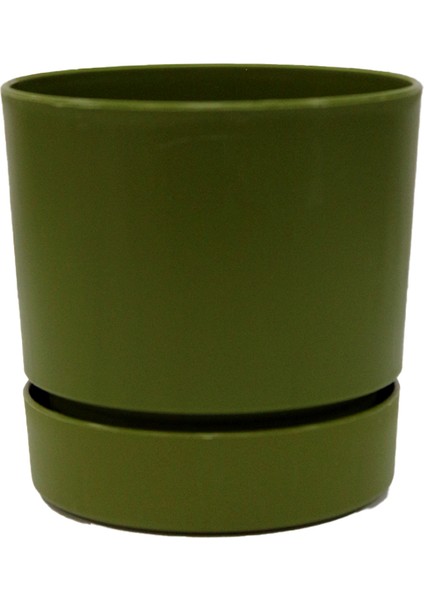 Saksı Begonya 9 0.5 Lt 90X80 mm 3lü