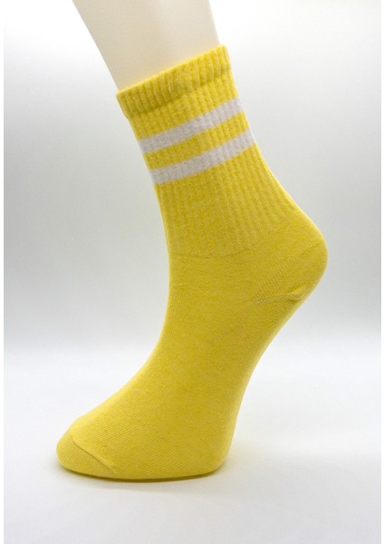 Ciho Socks Bayan 6 Çift Soft Renkler Tenis Çorabı