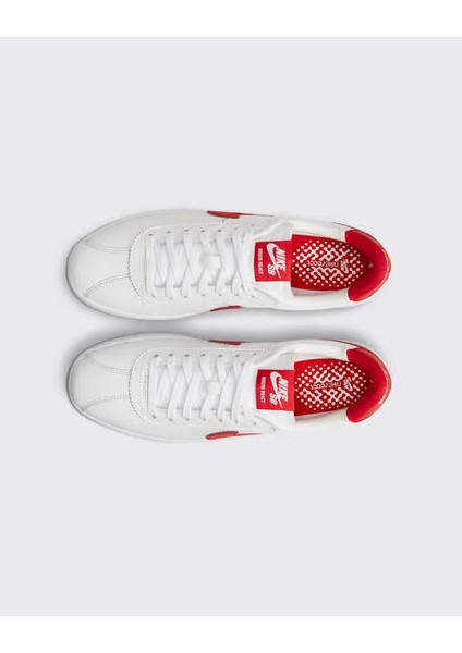 Sb Bruin REACT-CJ1661-102