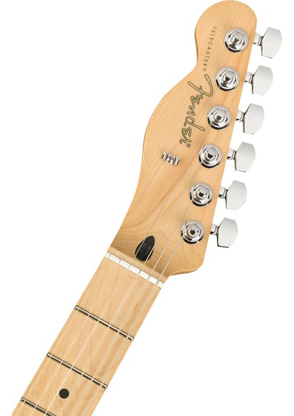 Player Telecaster Solak Akçaağaç Klavye Butterscotch Blonde Elektro Gitar