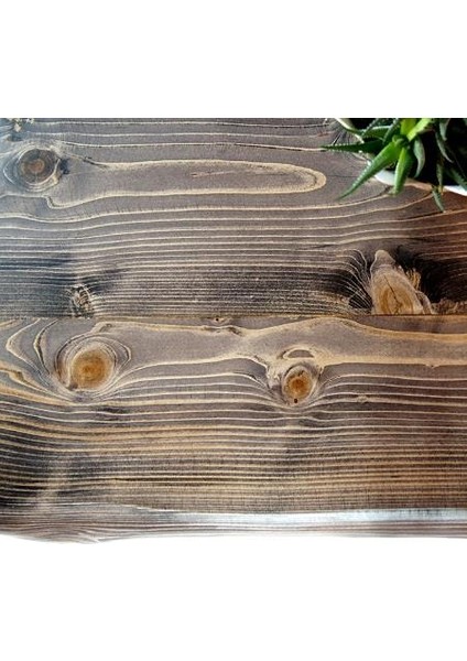 Doğal Ağaç Masif Kütük Orta Sehpa (75CM x 115CM) Ağaç Ayak