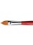 Cosmotop Spin Oval Sulu Boya Fırçası Seri 5584 NO16 2