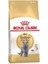 British Shorthair Yetişkin Kedi Maması 4 kg x 2 Adet 1