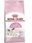 Mother Babycat Yavru Kedi Maması 2 kg x 2 Adet 1