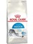 Indoor Home Life Adult Kedi Maması 2 kg 1