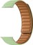 Apple Watch Se 2 2022 44MM Kordon Deri Mıknatıslı Gizli Mıknatıslı Krd 34 Yeşil 1
