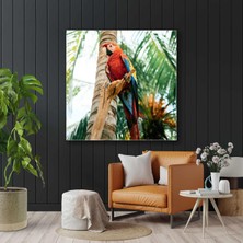 SML Tablo Tropik Ormanda Kırmızı Macaw Papağanı Kanvas Tablo