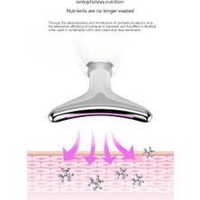 Yüz Boyun Masaj Aletigüzellik Enstrümanı (Yurt Dışından)