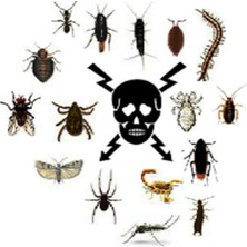 Bayer K-Othrine Kothrine SC50 Haşere Ilacı, Böcek Ilacı, Kokusuz, Hamamböceği Sinek Ilacı, Tahta Kurusu, Akrep