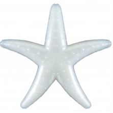 Hayaller Dükkanı Deniz Yıldızı Minik Sedef PK:100 KL:100